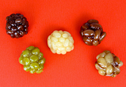 �������̘a�َq�F���̂�